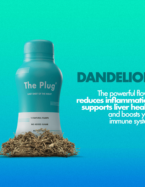 Load image into Gallery viewer, Organic Liver Detox Drink  |  The Plug Drink by The Plug Drink
