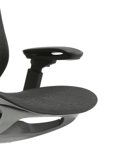 Load image into Gallery viewer, CeliniChair Executive Mesh Ergonomic Office Chair by EFFDESK - Black by Level Up Desks
