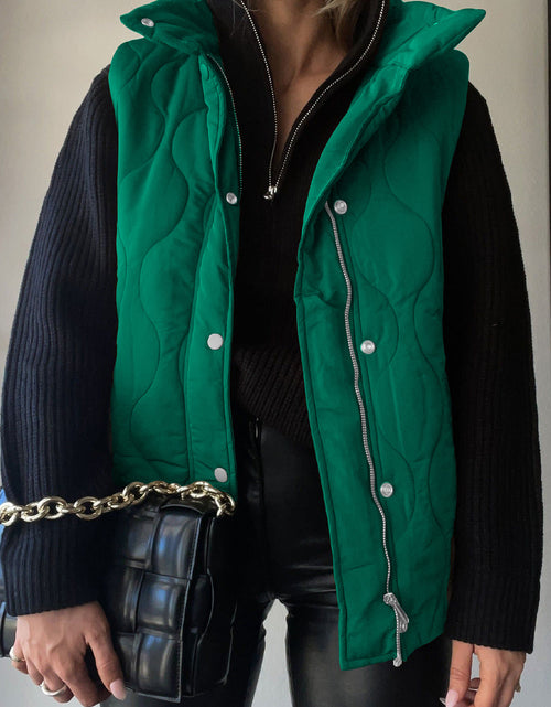 Load image into Gallery viewer, Collared Neck Vest with Pockets
