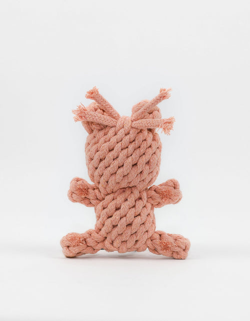 Load image into Gallery viewer, Sweetheart Macarons &amp; Bear Hugs Collection Dog Toys by Knotty Pawz

