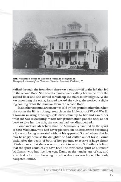 Load image into Gallery viewer, Chicago History: The Stranger Side by Schiffer Publishing
