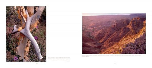 Load image into Gallery viewer, America's Outback by Schiffer Publishing
