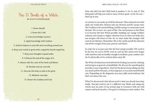 Load image into Gallery viewer, The Healthy Witch by Schiffer Publishing
