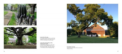 Load image into Gallery viewer, Chester County by Schiffer Publishing
