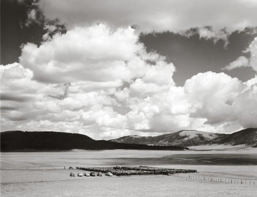 Load image into Gallery viewer, Harvey Caplin's Real Cowboys &amp; the Old West by Schiffer Publishing

