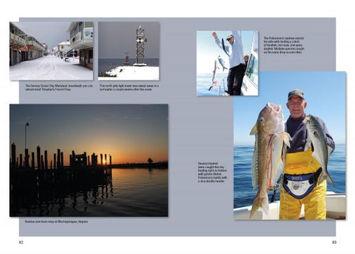 Load image into Gallery viewer, Saltwater Tales by Schiffer Publishing
