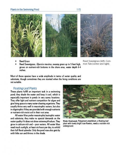 Load image into Gallery viewer, Garden Pools and Swimming Ponds by Schiffer Publishing
