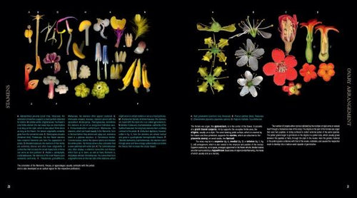 Load image into Gallery viewer, Atlas of Flowering Plants by Schiffer Publishing
