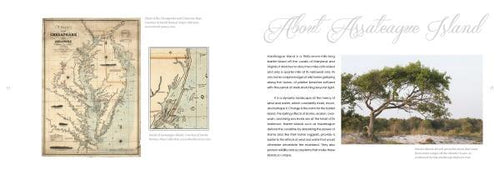 Load image into Gallery viewer, Natural Wonders of Assateague Island by Schiffer Publishing

