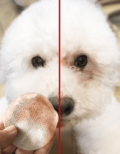 Load image into Gallery viewer, Pet Purrfection Eye Sparkle Wipes by Dog Hugs Cat

