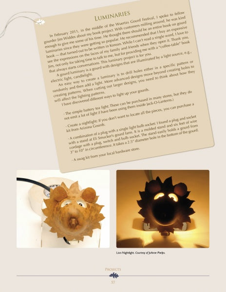Load image into Gallery viewer, Cut-out Gourd Techniques by Schiffer Publishing
