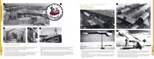 Load image into Gallery viewer, Lockheed SR-71 Blackbird by Schiffer Publishing
