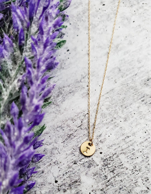 Load image into Gallery viewer, 14k Gold Dainty Initial Disc Necklace by Salt and Sparkle
