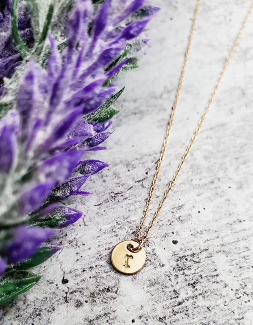 Load image into Gallery viewer, 14k Gold Dainty Initial Disc Necklace by Salt and Sparkle
