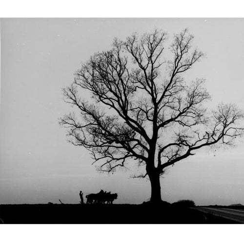 Load image into Gallery viewer, Just Passing Through by Schiffer Publishing
