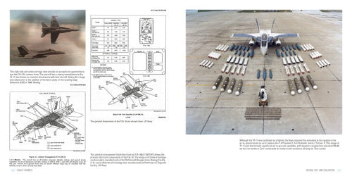 Load image into Gallery viewer, Legacy Hornets by Schiffer Publishing
