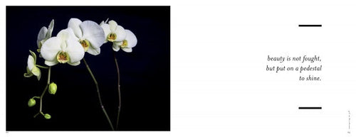 Load image into Gallery viewer, Perishable Poetics by Schiffer Publishing

