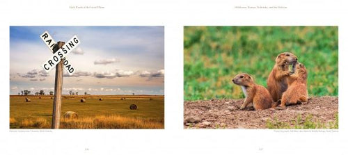 Load image into Gallery viewer, Back Roads of the Great Plains by Schiffer Publishing
