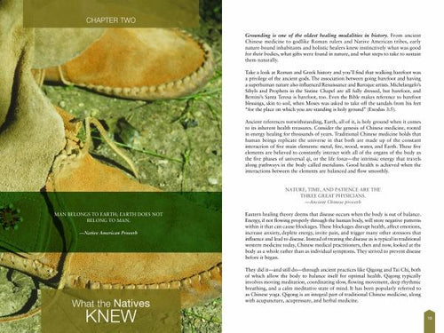 Load image into Gallery viewer, Barefoot Wisdom by Schiffer Publishing
