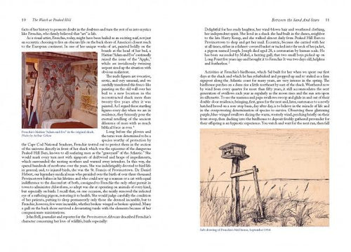 Load image into Gallery viewer, The Watch at Peaked Hill by Schiffer Publishing
