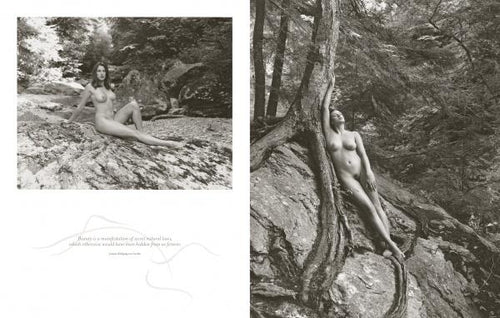 Load image into Gallery viewer, Peak of Perfection by Schiffer Publishing
