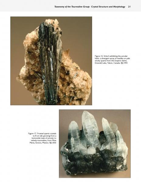 Load image into Gallery viewer, Collector's Guide to the Tourmaline Group by Schiffer Publishing
