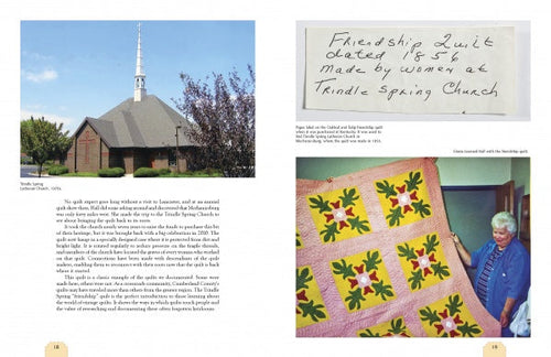 Load image into Gallery viewer, Quilts of Cumberland County by Schiffer Publishing
