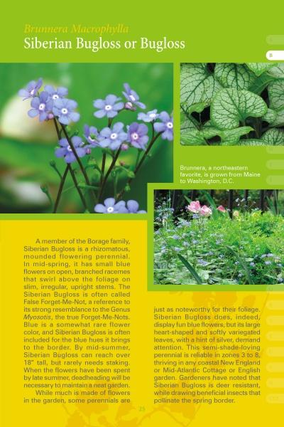 Load image into Gallery viewer, Coastal Garden Plants by Schiffer Publishing
