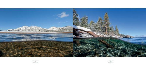 Load image into Gallery viewer, Clarity by Schiffer Publishing
