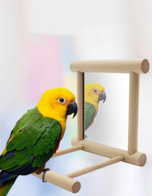 Load image into Gallery viewer, Curious Avian Reflection Stand by Dog Hugs Cat
