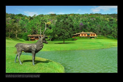 Load image into Gallery viewer, The Art of Brazilian Architecture by Schiffer Publishing
