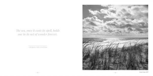 Load image into Gallery viewer, East Coast Atlantic Beaches by Schiffer Publishing
