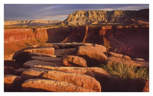 Load image into Gallery viewer, In the Chasms of Water, Stone, and Light by Schiffer Publishing
