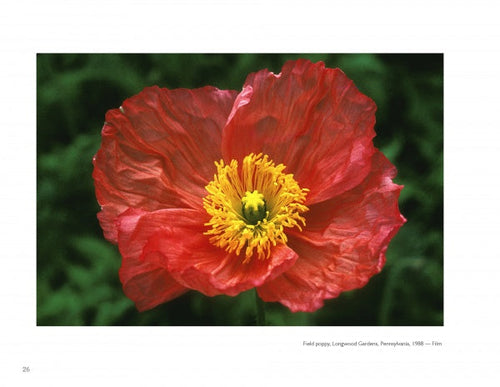 Load image into Gallery viewer, The Art of Flower Photography by Schiffer Publishing
