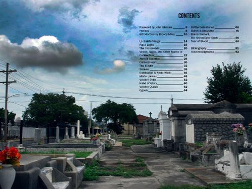 Load image into Gallery viewer, Justice Howard's Voodoo by Schiffer Publishing
