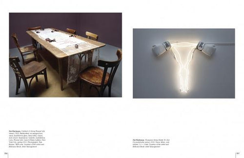 Load image into Gallery viewer, 50 Contemporary Women Artists by Schiffer Publishing
