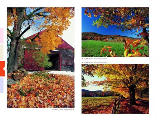 Load image into Gallery viewer, New England by Schiffer Publishing
