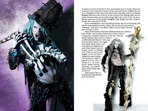 Load image into Gallery viewer, Justice Howard's Voodoo by Schiffer Publishing
