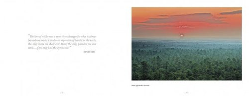 Load image into Gallery viewer, Pinelands by Schiffer Publishing
