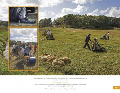 Load image into Gallery viewer, Farms of Cape Cod by Schiffer Publishing
