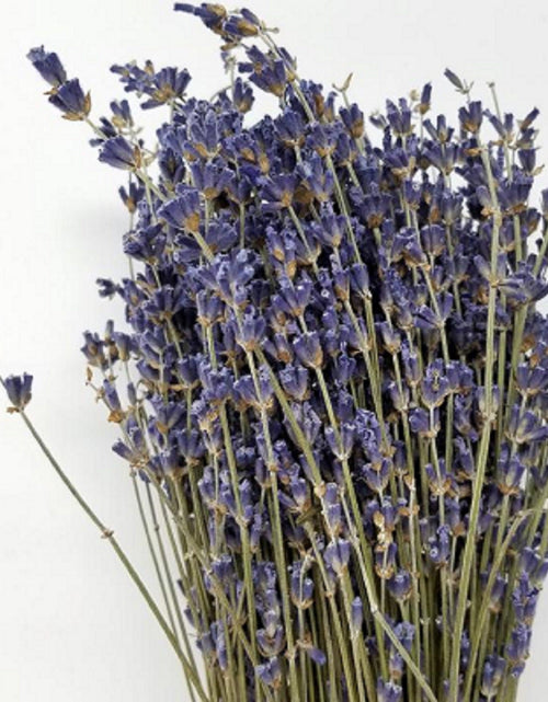 Load image into Gallery viewer, High-Grade French Lavender Flower BUNCH 14" L by OMSutra
