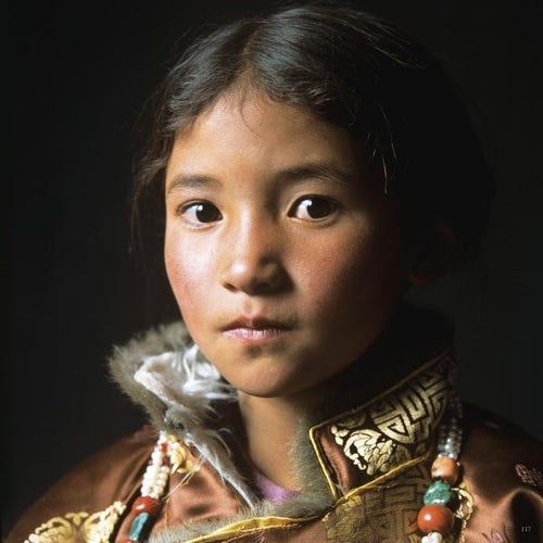 Load image into Gallery viewer, Ladakh by Schiffer Publishing
