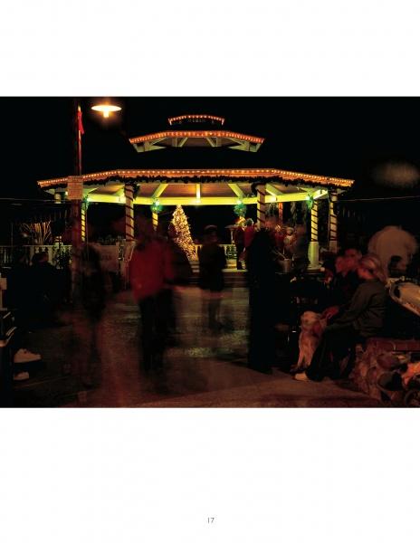 Load image into Gallery viewer, The Big Book of Gazebos, Pergolas, and Other Backyard Architecture by Schiffer Publishing
