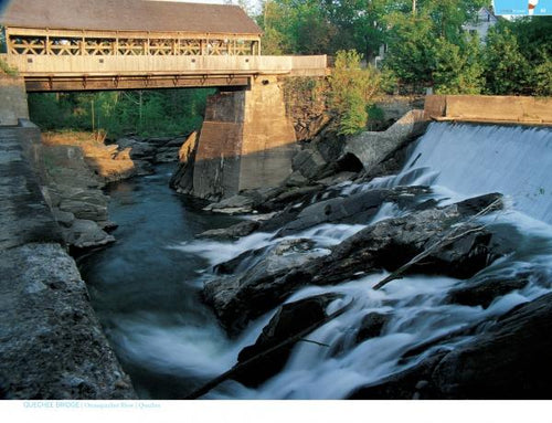 Load image into Gallery viewer, Timeless Crossings by Schiffer Publishing
