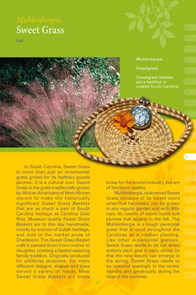 Load image into Gallery viewer, Coastal Garden Plants by Schiffer Publishing
