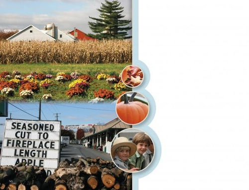 Load image into Gallery viewer, Lancaster County: Out and About by Schiffer Publishing
