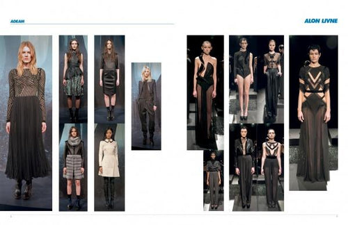 Load image into Gallery viewer, The SFP LookBook: Mercedes-Benz Fashion Week Fall 2013 Collections by Schiffer Publishing
