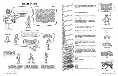 Load image into Gallery viewer, The Graphic Guide to Beekeeping by Schiffer Publishing
