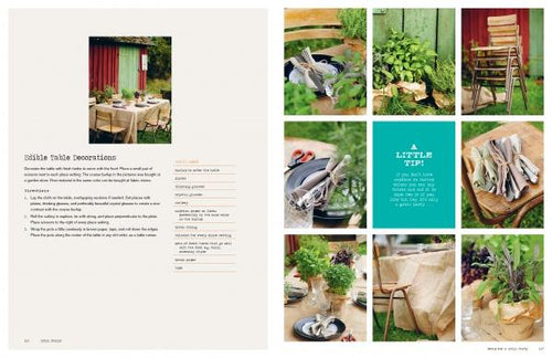 Load image into Gallery viewer, Grill Skills: Professional Tips for the Perfect Barbeque by Schiffer Publishing
