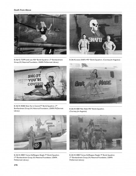Load image into Gallery viewer, Death from Above by Schiffer Publishing
